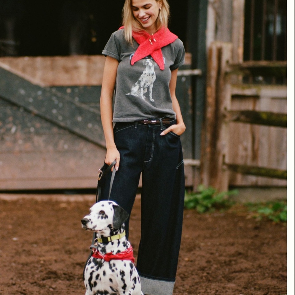 🐕‍🦺 NWT Anthropologie Charcoal Gray Dalmation Graphic Tee - XS - Picture 4 of 5